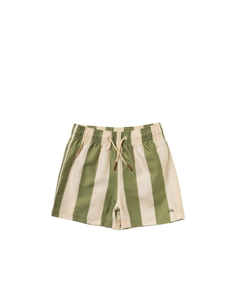Salted Stories Salted Stories | Zwembroek | Wide Stripe | short groen