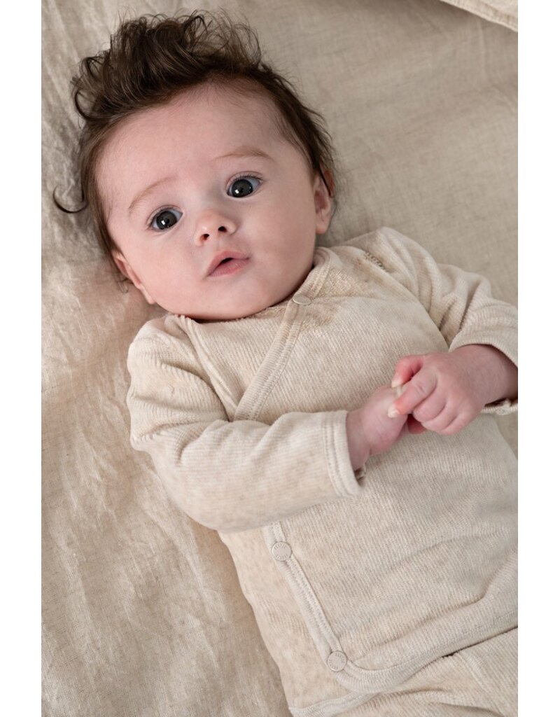 Feetje Baby Feetje baby overslagshirt - The Cuddle Company - velours - 51602771