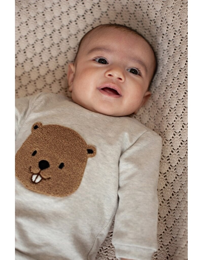Feetje Baby Feetje sweater - Tiny Timber Tales - Grijs - 51602782