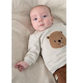 Feetje Baby Feetje babysweater jongen - Tiny Timber Tales - Grijs