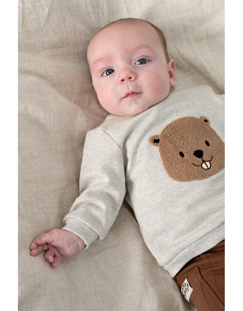 Feetje Baby Feetje sweater - Tiny Timber Tales - Grijs - 51602782