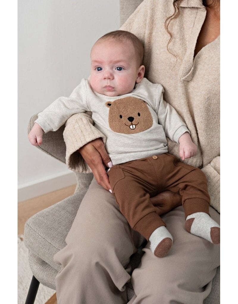 Feetje Baby Feetje sweater - Tiny Timber Tales - Grijs - 51602782