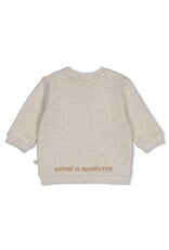 Feetje Baby Feetje sweater - Tiny Timber Tales - Grijs - 51602782