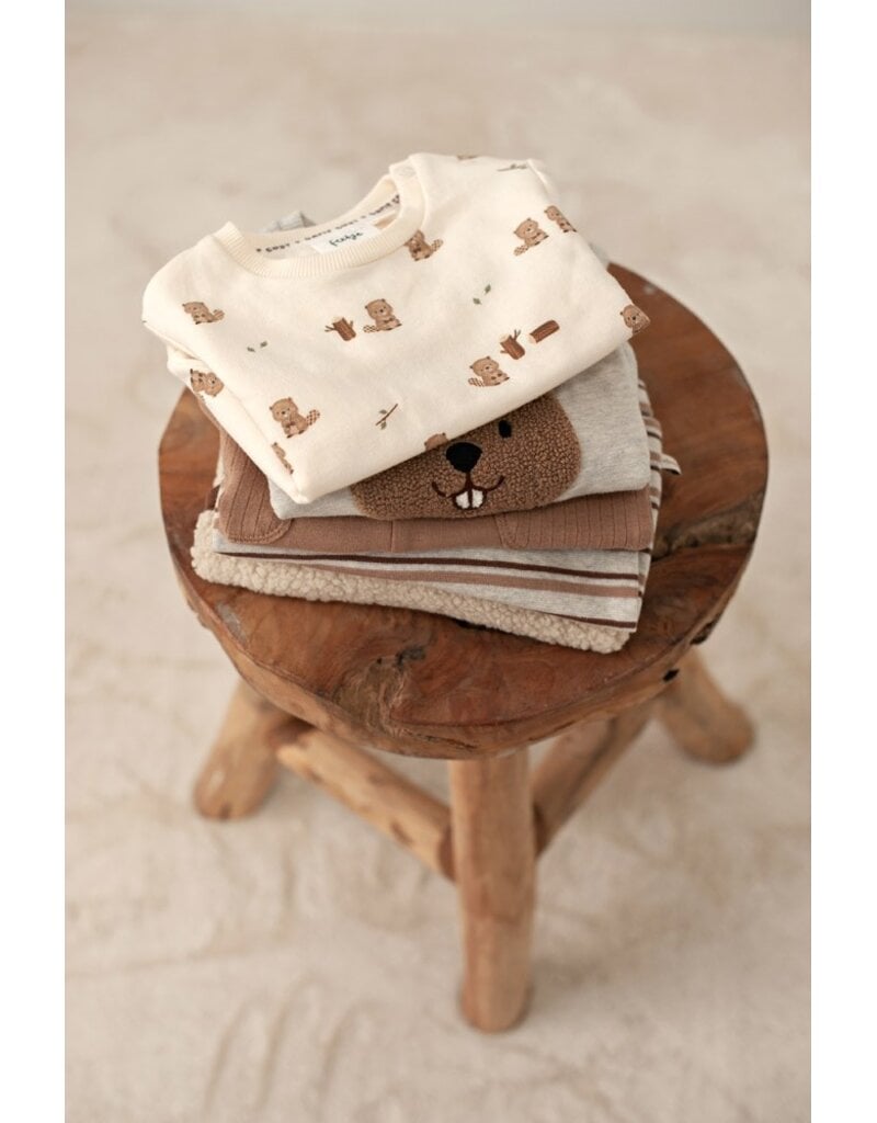 Feetje Baby Feetje broek - Tiny Timber Tales - gestreept - 52202553