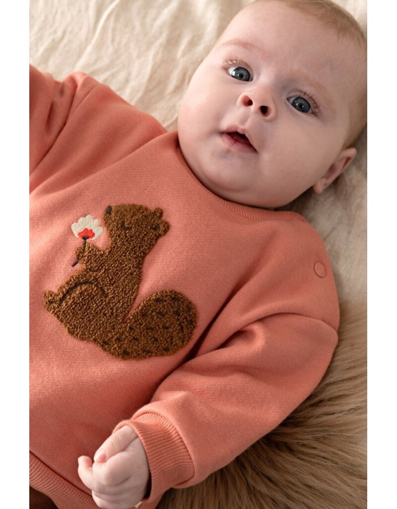 Feetje Baby Feetje meisjes sweater - Forest Garden - Roze - 51602818
