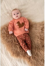 Feetje Baby Feetje meisjes sweater - Forest Garden - Roze - 51602818