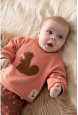 Feetje Baby Feetje meisjes sweater - Forest Garden - Roze - 51602818