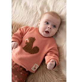 Feetje Baby Feetje babysweater meisje - Forest Garden - Roze