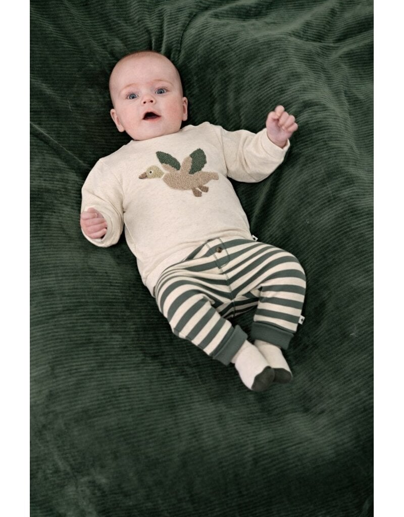 Feetje Baby Feetje jongensbroek - Wiggle and Waddle - gestreept - 52202597