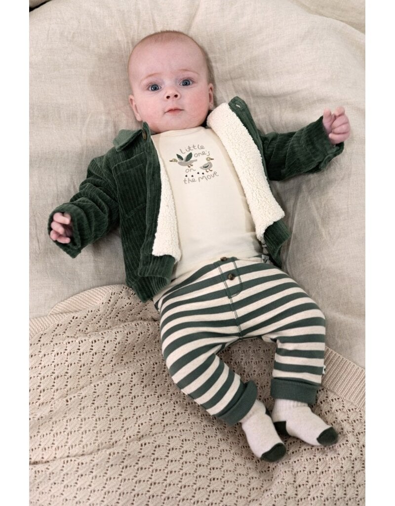 Feetje Baby Feetje jongensbroek - Wiggle and Waddle - gestreept - 52202597