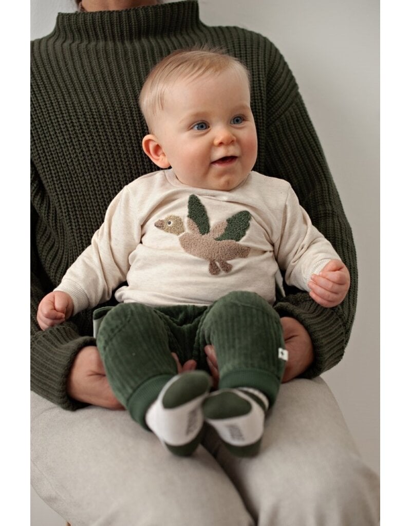 Feetje Baby Feetje jongensbroek - Wiggle and Waddle - velours rib - 52202598