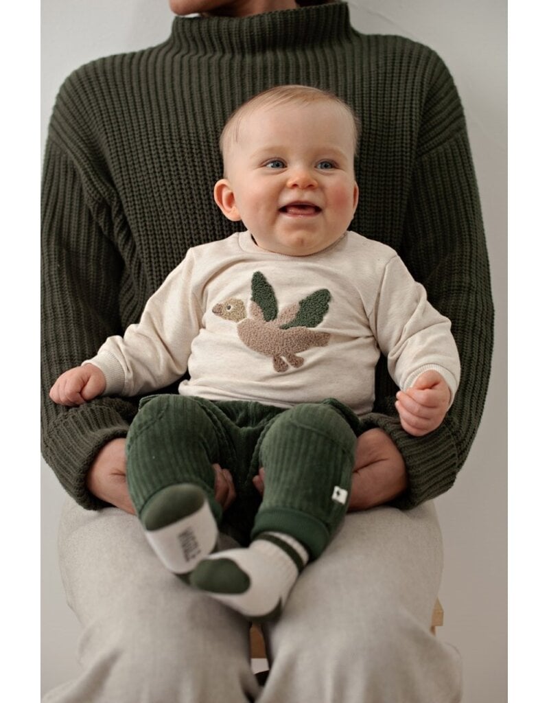 Feetje Baby Feetje jongensbroek - Wiggle and Waddle - velours rib - 52202598
