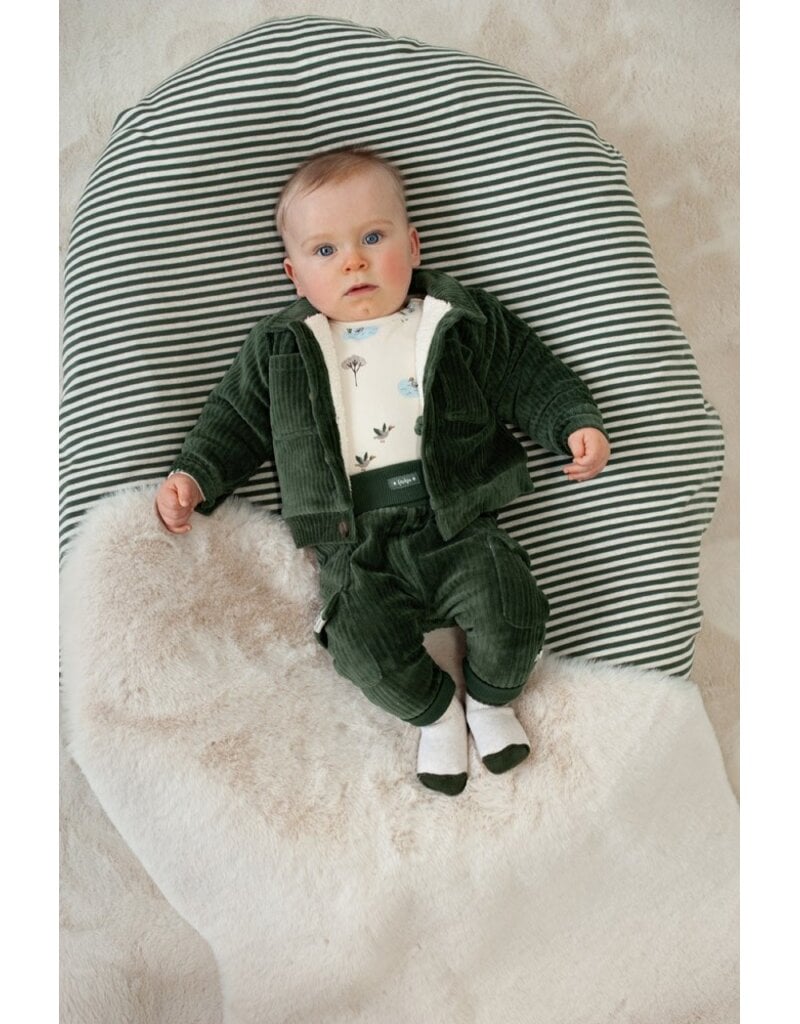 Feetje Baby Feetje jongensbroek - Wiggle and Waddle - velours rib - 52202598