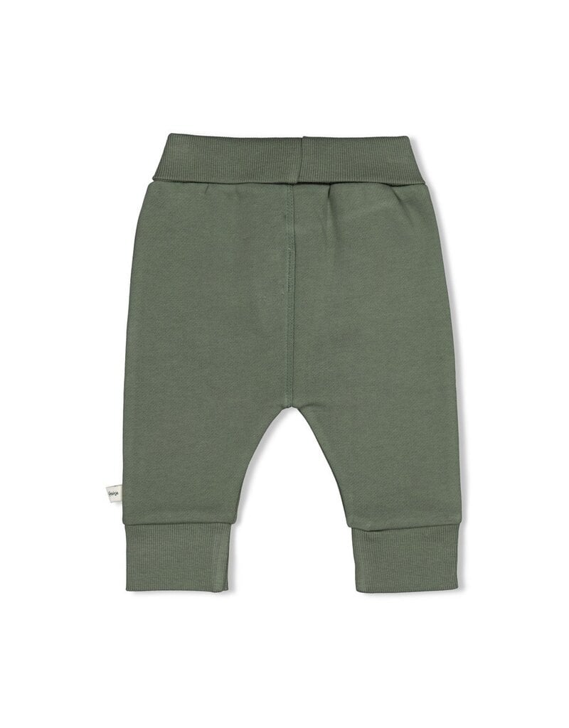 Feetje Baby Feetje jongensbroek jog - Wiggle and Waddle - groen - 52202650