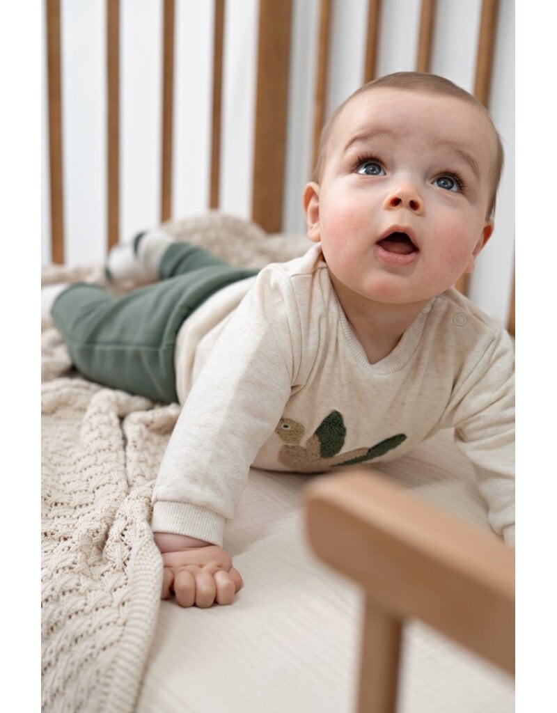 Feetje Baby Feetje jongensbroek jog - Wiggle and Waddle - groen - 52202650