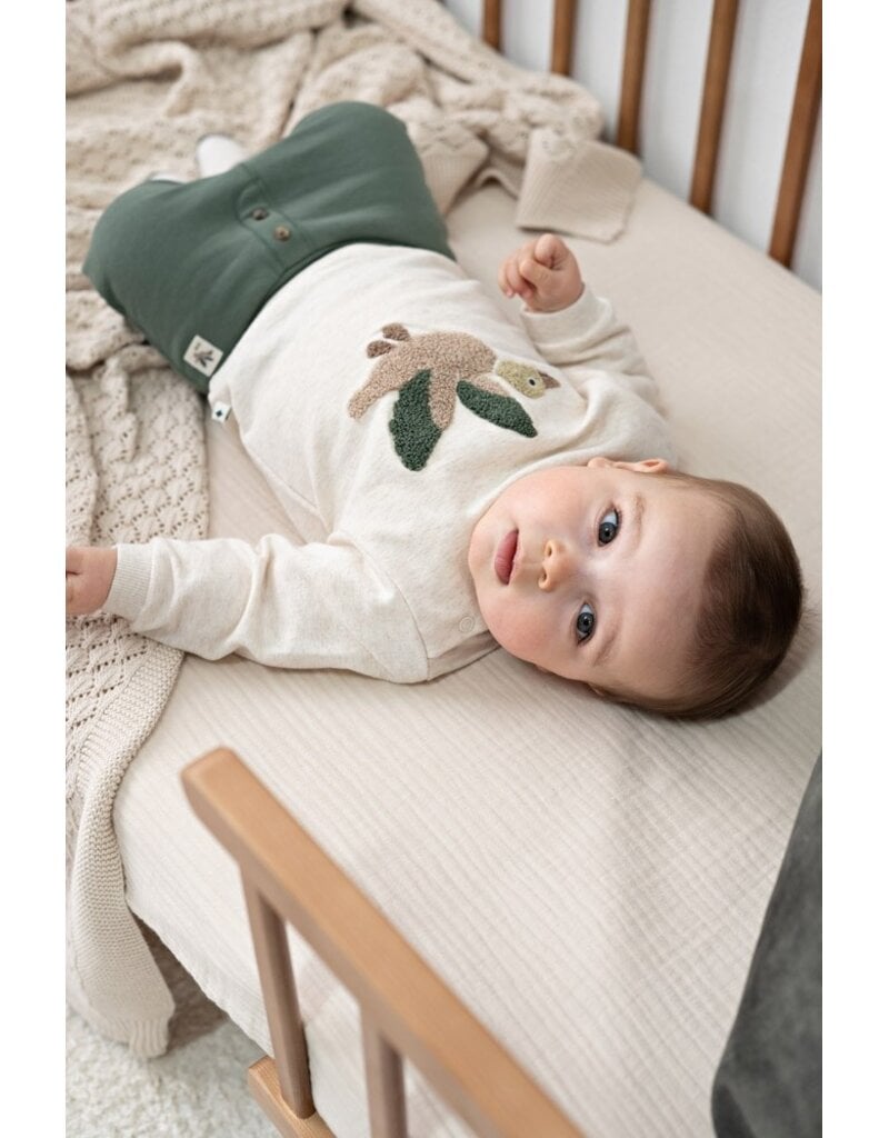 Feetje Baby Feetje jongensbroek jog - Wiggle and Waddle - groen - 52202650