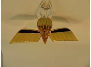 Embleem van metaal Nederlandse para wing Gold