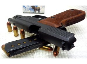 Sig Sauer SIG SAUER P 220 in 45 ACP