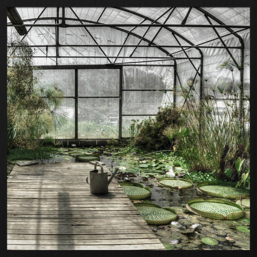 Wandkraft Anstrich Forex Riesenblatt 74x74cm - 