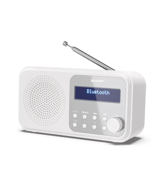 Sharp DR-P420 dab radio