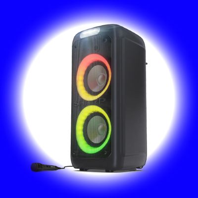 PARTY SPEAKERS