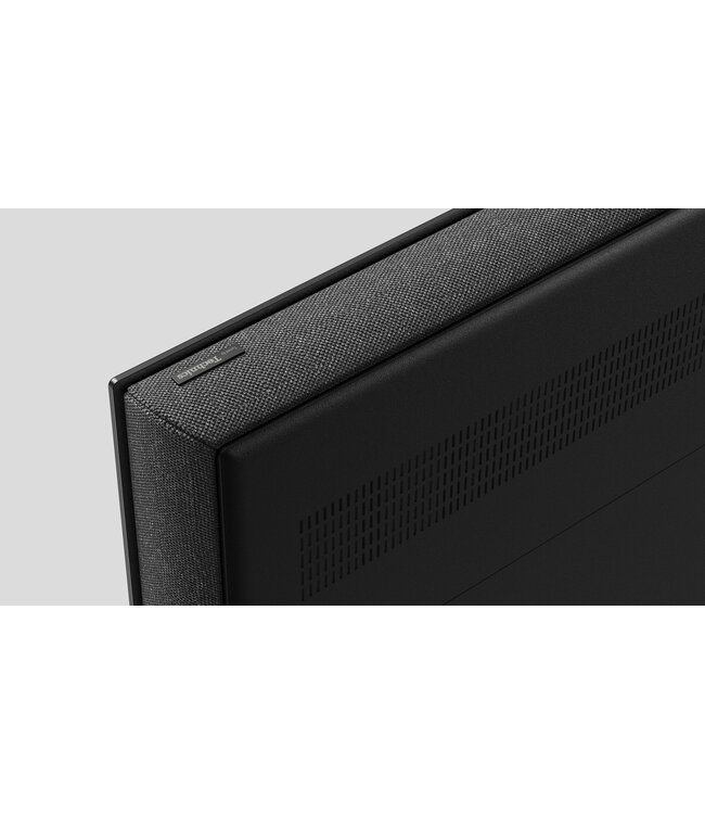 Panasonic TV-65Z95BEG