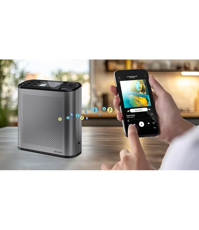 Sharp Osaka DR-P530