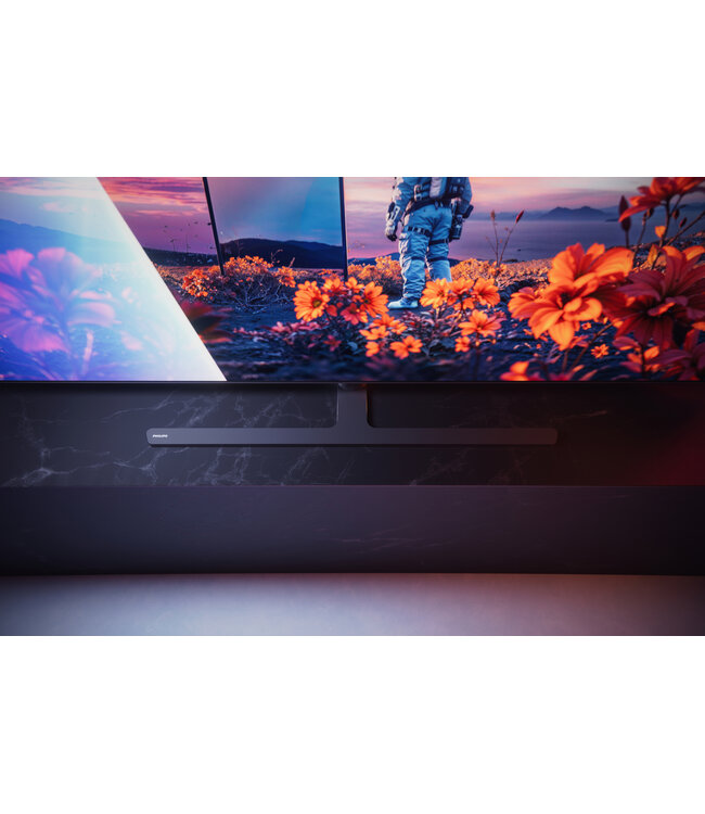 Philips 55OLED851/12