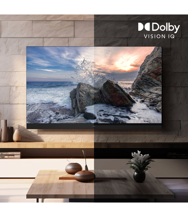 Panasonic TV-48Z90BE6A
