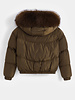 Winterjas dames kort  bruin
