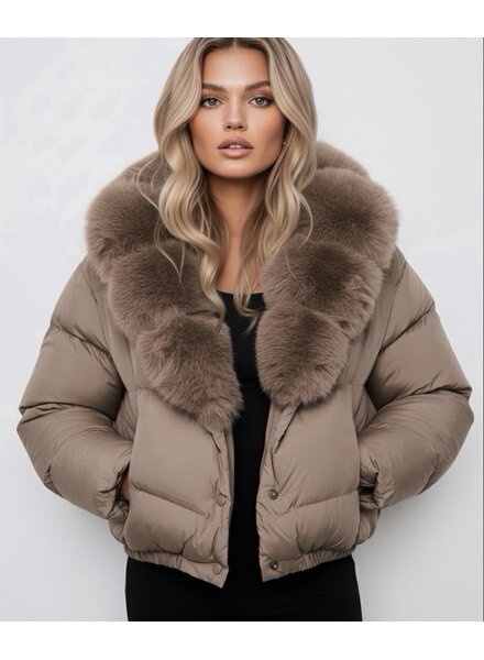 Dames kort winterjas bruin met bont