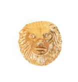 Housevitamin Kastknop Gouden Leeuw