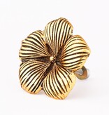 Kastknop Hibiscus Bloem Goud