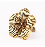 Kastknop Hibiscus Bloem Goud