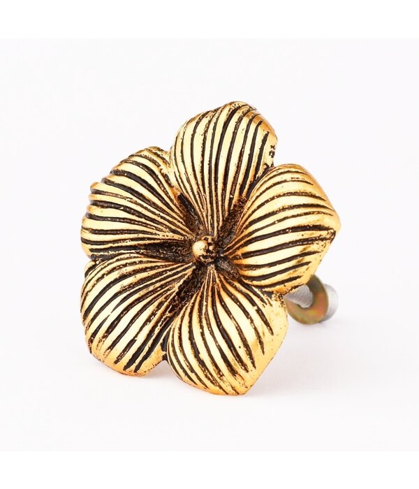 Kastknop Hibiscus Bloem Goud