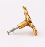 Kastknop Hibiscus Bloem Goud