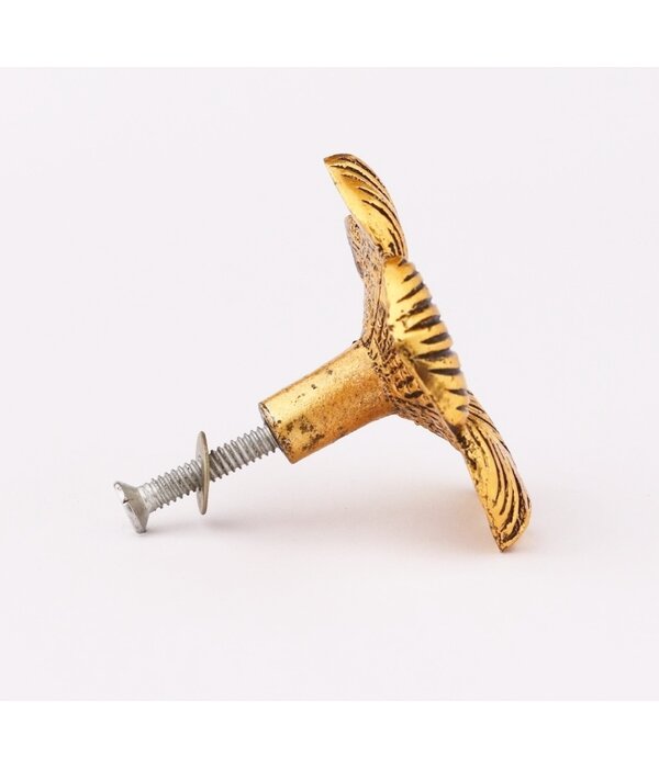 Kastknop Hibiscus Bloem Goud