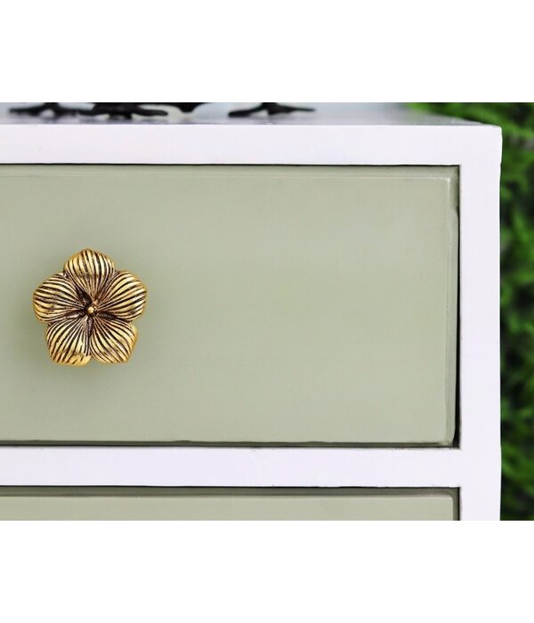 Kastknop Hibiscus Bloem Goud