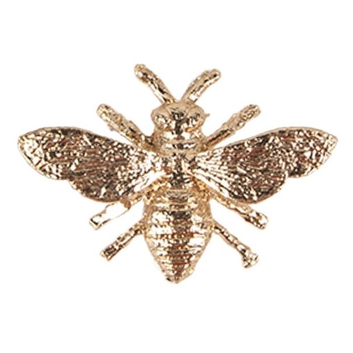 Kastknop Bij Insect Goud