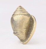 Kastknop Gouden Schelp