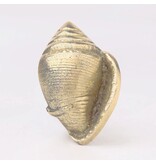 Kastknop Gouden Schelp
