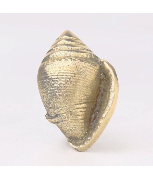 Kastknop Gouden Schelp