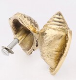 Kastknop Gouden Schelp