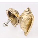 Kastknop Gouden Schelp