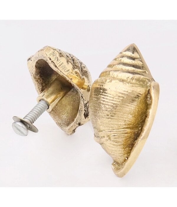 Kastknop Gouden Schelp