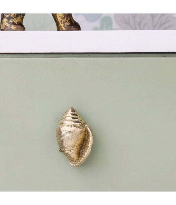 Kastknop Gouden Schelp