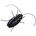 Kakkerlak op Zonne-Energie