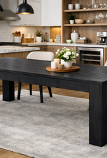 Kenneth Tafel:  Model Kenneth