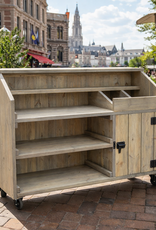 Sally Een verrijdbare Bestekwagen: Model Sally