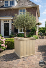 Eddy plantenbak -Bloembak : Model Eddy